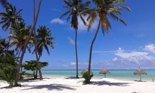 Heart of Zanzibar Bungalows photo