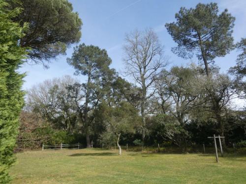 Gîte Azur 3 pièces 4 personnes - FR-1-360-280 - main image