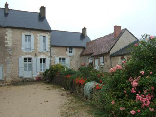 Gîte Fosse, 3 pièces, 5 personnes - FR-1-491-141 gîte à louer Selommes