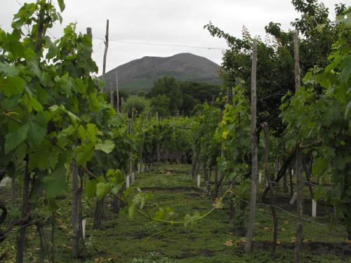 Villa Vesuvio