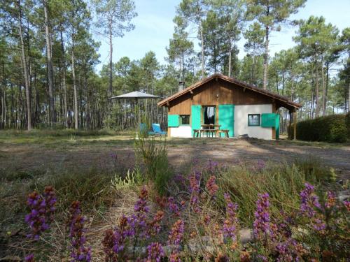 Gîte Luxey, 3 pièces, 4 personnes - FR-1-360-388 gîte à louer Merrein