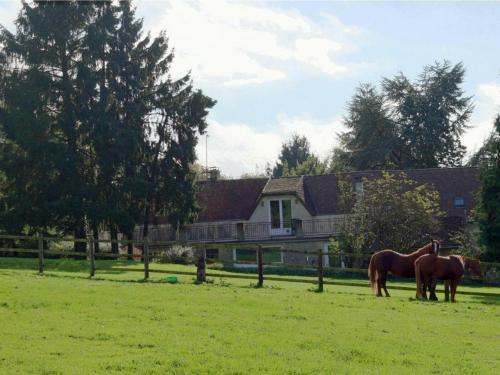 Gîte Radon, 2 pièces, 3 personnes - FR-1-497-111 - Location saisonnière - Écouves