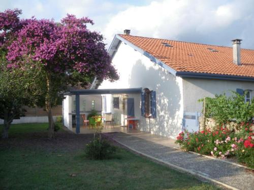 Gîte Port-de-Lanne, 4 pièces, 5 personnes - FR-1-360-494 gîte à louer Lanne