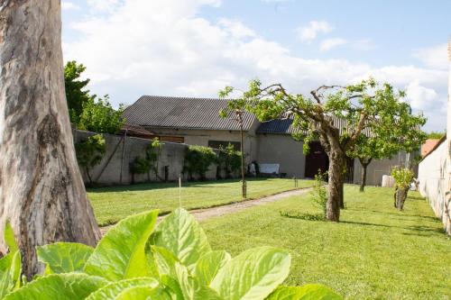 สวน, Ferienwohnung Casa Flora in พัมฮาเกิน