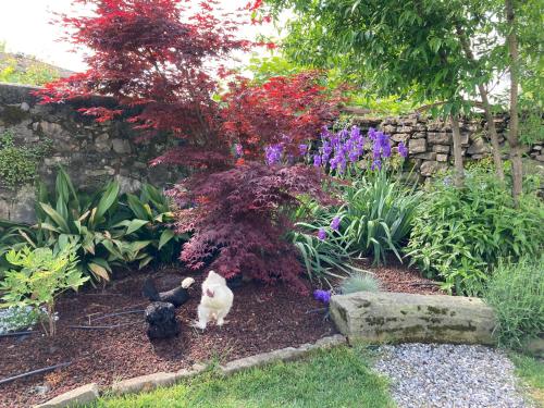 B&B Corte Seguini - Accommodation - Bagnatica