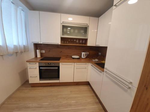 Studio Apartment Gea 2 Tour As Ljubljana, Lublaň (fotografie 5)