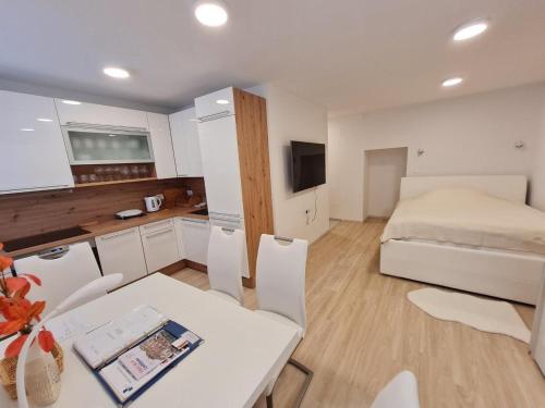 Studio Apartment Gea 2 Tour As Ljubljana, Lublaň (fotografie 7)
