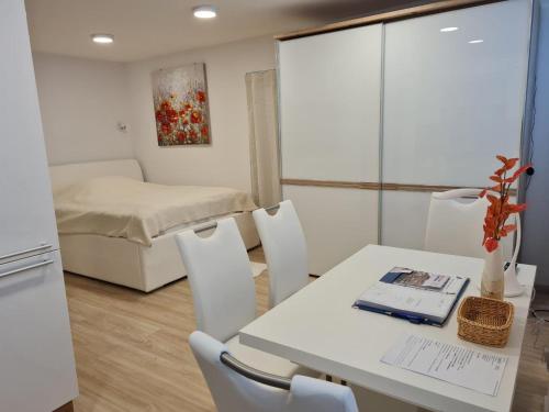 Studio Apartment Gea 2 Tour As Ljubljana, Lublaň (fotografie 10)