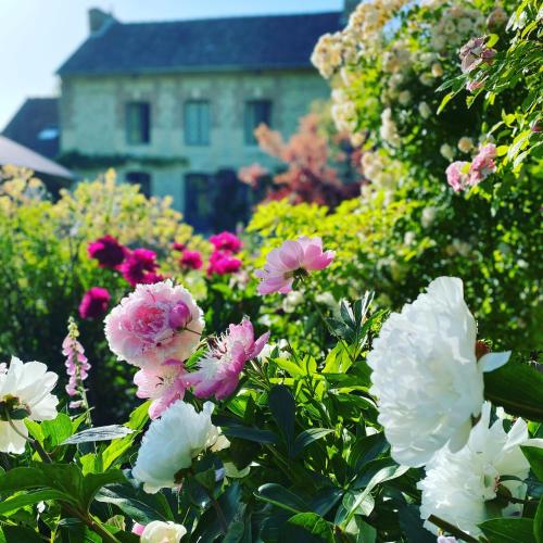 La Maison d'Aline - Honfleur - Maison d'Hôte De Charme A La Normande