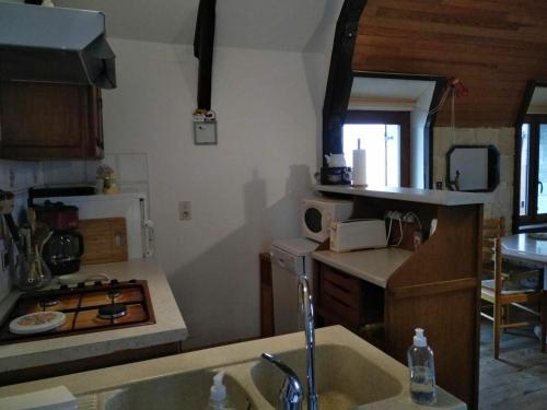 Gîte Le Fel 3 pièces 4 personnes - FR-1-601-338 - main image