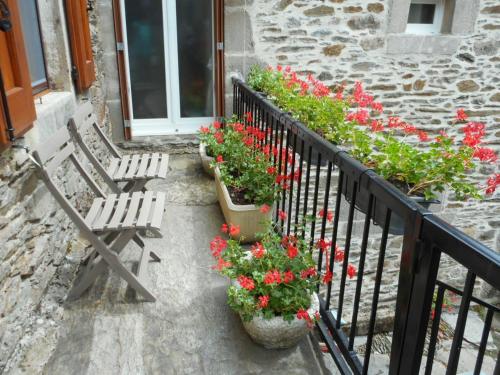 Gîte Castelnau-Pégayrols 4 pièces 6 personnes - FR-1-601-229 - image 12