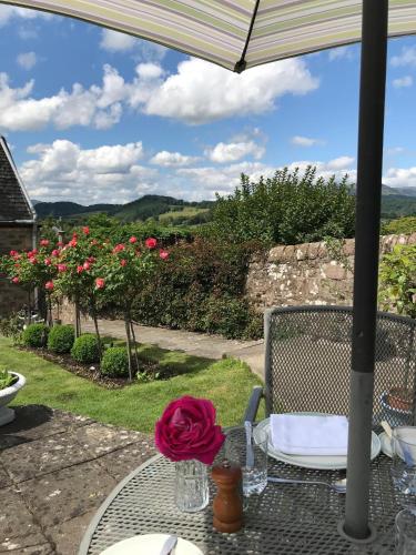 花園, Leven House Bed and Breakfast in 克里夫