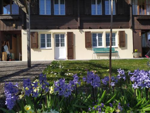 2 Zimmerwohnung Homestay Brienz Spanischgässli