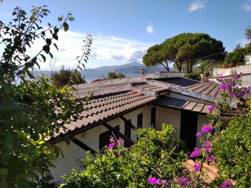  Beautiful apartment for 4 pax at 120 mt from the beach in Palazzo