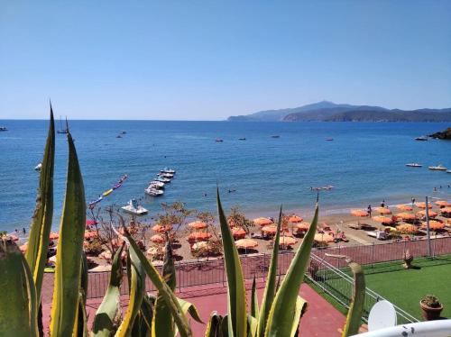  Beautiful apartment for 4 pax at 120 mt from the beach in Palazzo