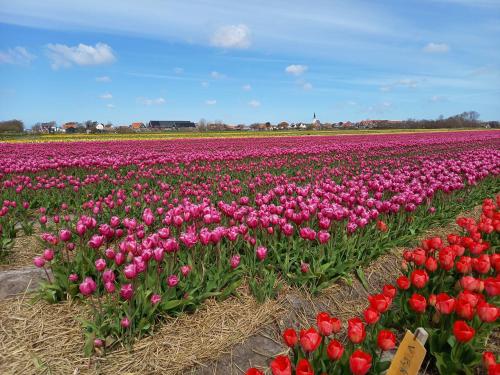  B&B kamers en meer Het Spookhuis in Den Hoorn