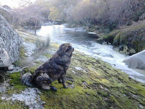 Salto do Lobo - Montain houses with private river Salto do Lobo - Montain houses with private river