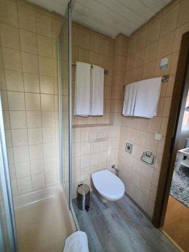 Pension-Restaurant Zur Silbernen Kanne - image 14