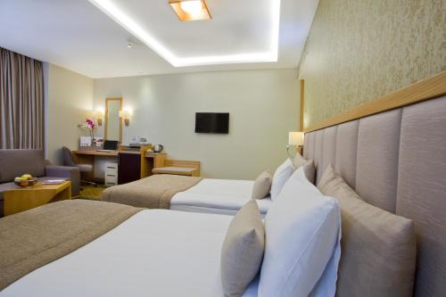 The Parma Hotel & Spa Taksim, Istanbul (fotografie 4)