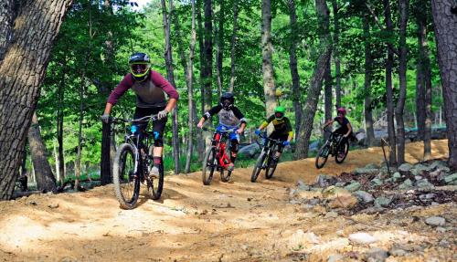 The Summit at Massanutten Resort by TripForth in McGaheysville, USA