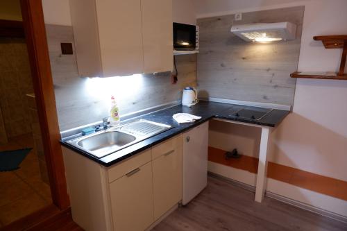 Apartments Habert in Horni Plana