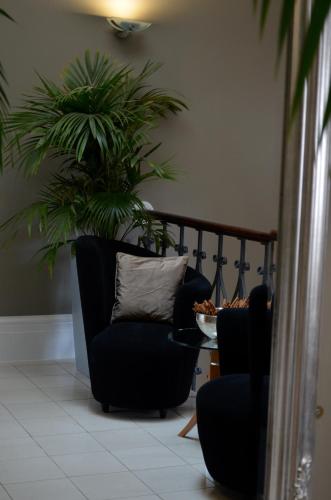 Quebecs Luxury Apartments - image 10