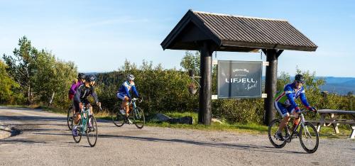 Lifjelltunet - image 14