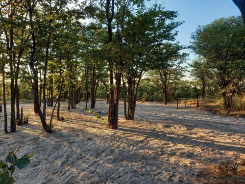 Apkārtne, Acacia Camping in Chiro Pan