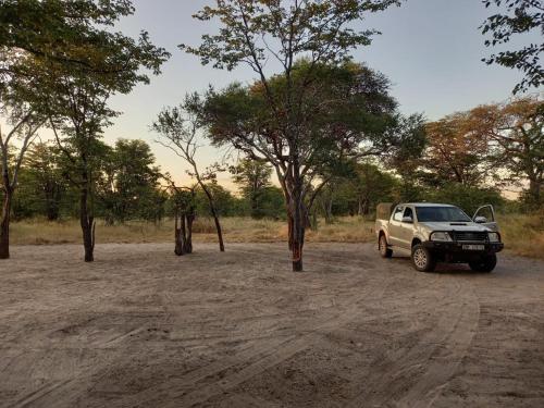 Apkārtne, Acacia Camping in Chiro Pan