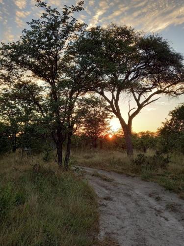 Apkārtne, Acacia Camping in Chiro Pan