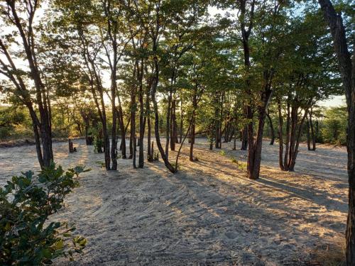 Apkārtne, Acacia Camping in Chiro Pan