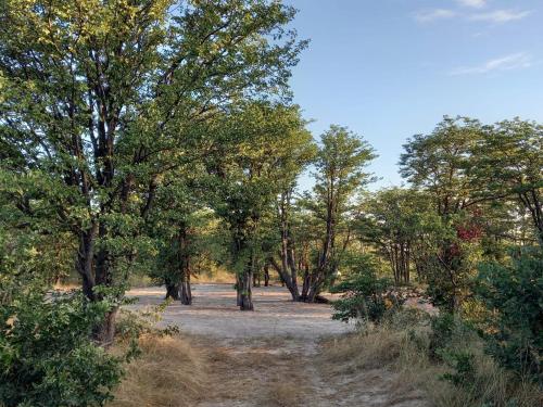 Apkārtne, Acacia Camping in Chiro Pan
