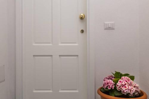 Colours in the street