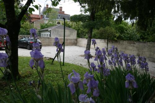 Picardy - image 4