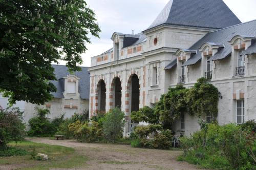 L'Orangerie du Château - LE NID - GITE 2 Personnes - Location saisonnière - Brain-sur-Allonnes