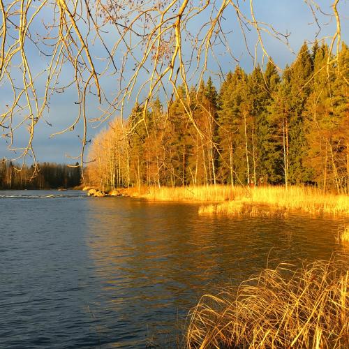 Laawu Kultaa - image 8