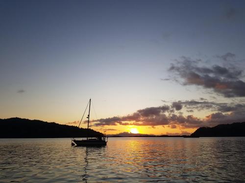 Banana Bay Marina