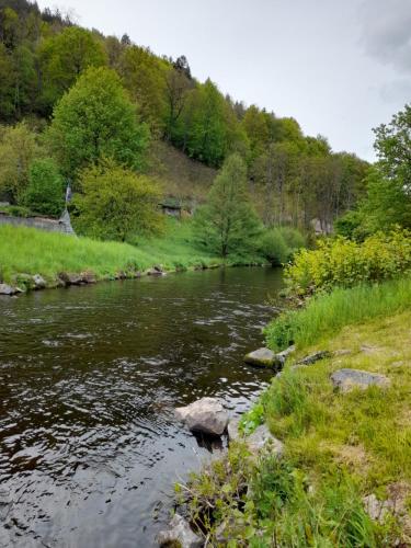 Ferienwohnung am Enzufer mit Wintergarten Bad Wildbad im Schwarzwald