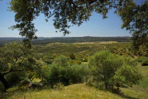 Las Tobas - image 6