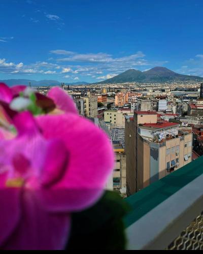 B&B Napoli's Rooftop