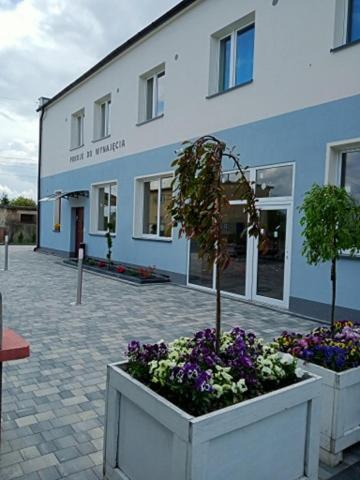 Pod Kogucikiem in Katowice