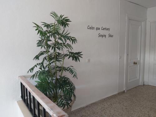 Hotel Sur Utopia - image 13
