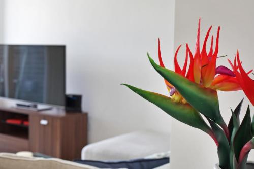 Lux 2 & 3 Bed Apartments in Camden Town FREE WIFI by City Stay Aparts London, Londýn (fotografie 9)