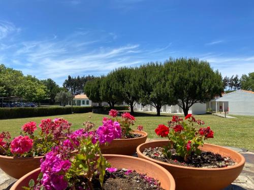  Herdade Moita Mar - Country & Sea in Vila Nova de Milfontes