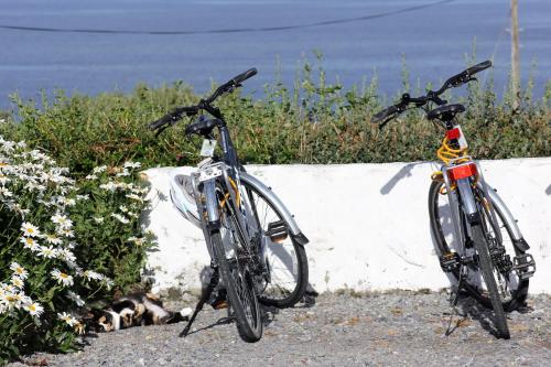 Clifden Bay Lodge