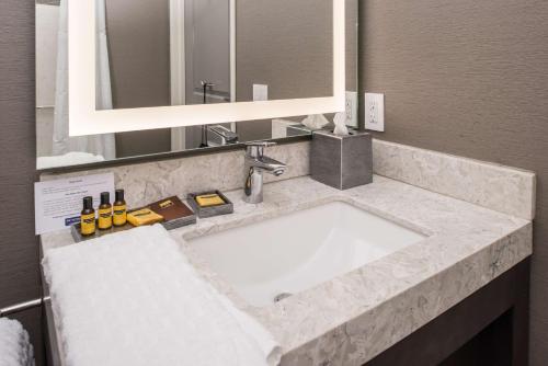 Queen Suite with Walk-In Shower - Disability Access