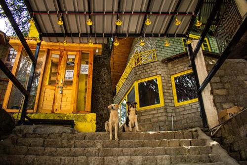 The Hosteller Manali