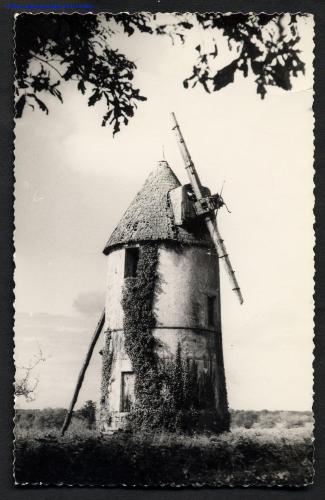 Moulin à vent le champ du trail