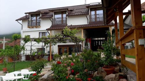 Casa Sviniceană (Casa Sviniceana) in Svinita