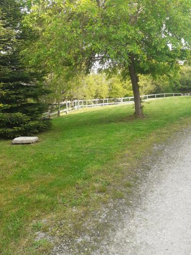 Surrounding environment, Auverg'Nature Chambre Auvergnate in Espinasse